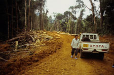 Timber roads cut into the forests of Waka.